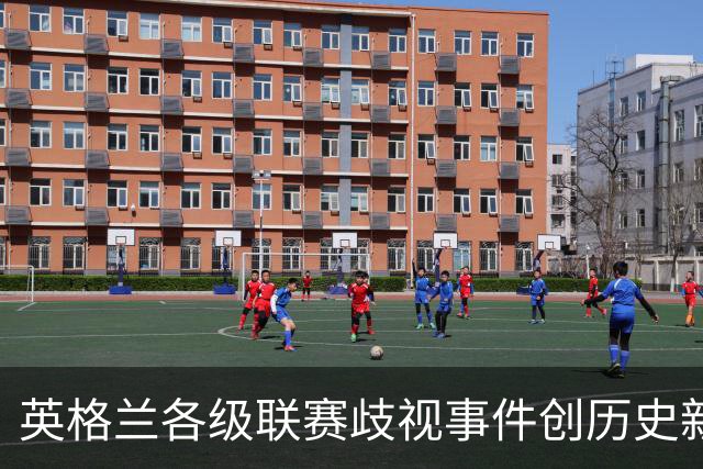 英格兰各级联赛歧视事件创历史新高，反歧视组织呼吁加强处罚